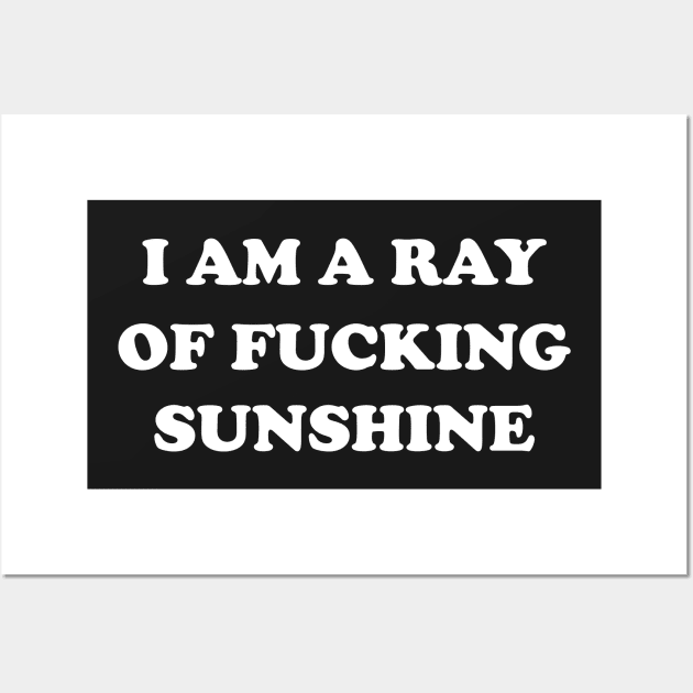 I Am a Ray Of Fucking Sunshine Wall Art by TheArtism